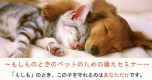 ペット
